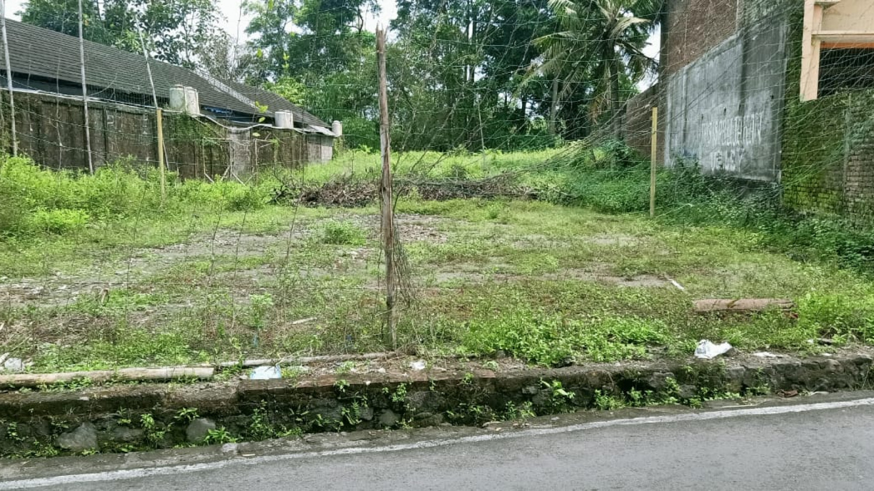 Tanah Pekarangan Luas di Prujakan, Jl.Damai - Sleman