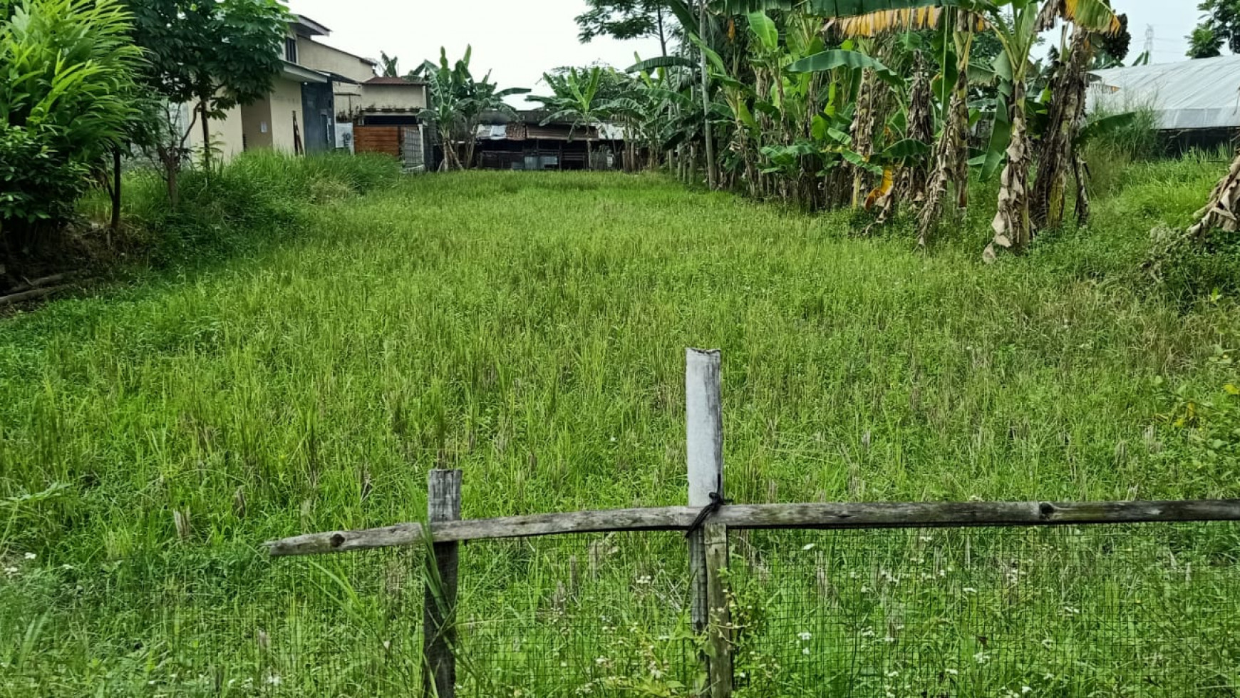 Tanah Pekarangan di Jl. Kaliurang km.7 - Sleman