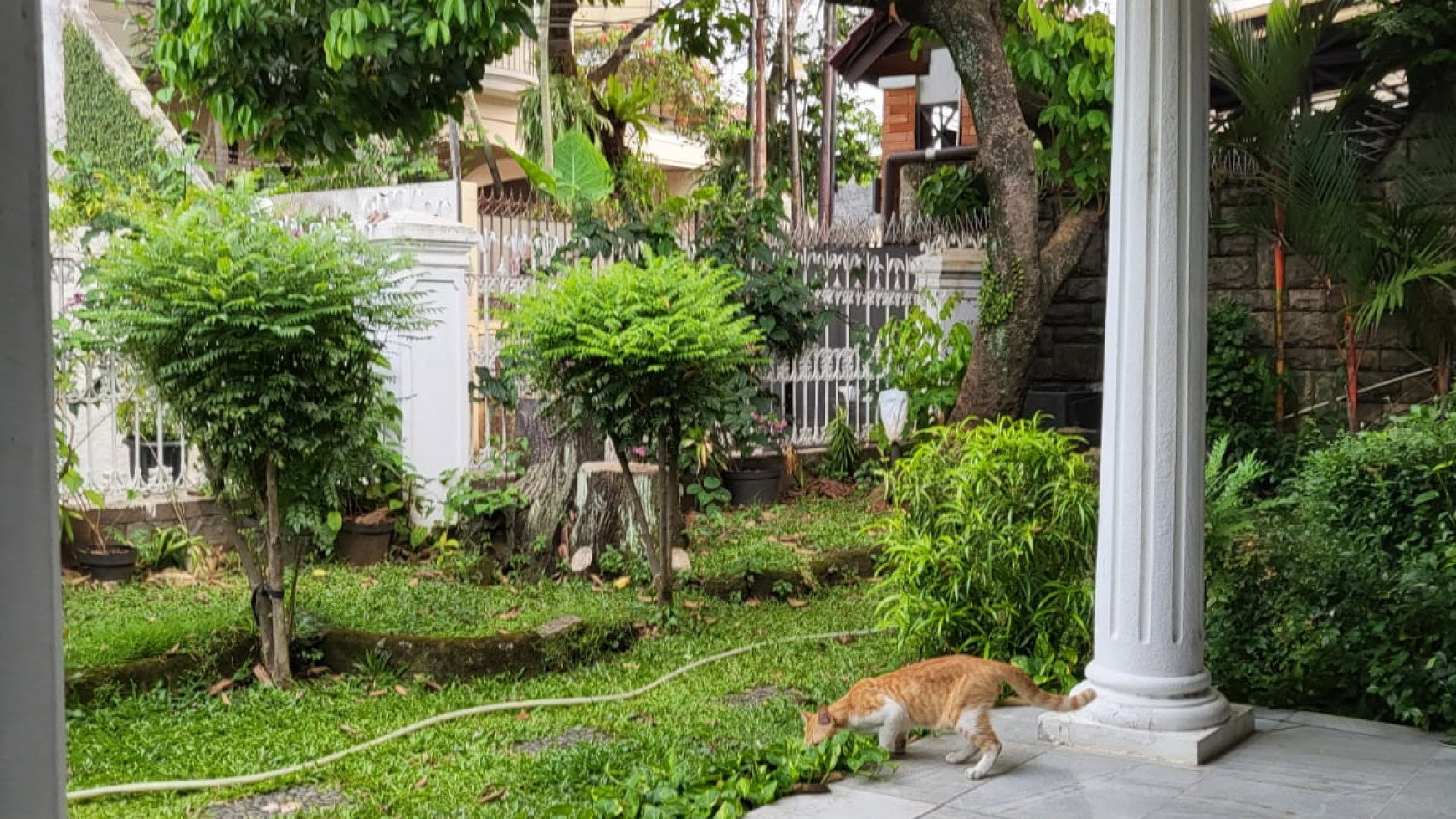 Dijual Rumah klasik terawat apik area cipete   jaksel dekat MRT