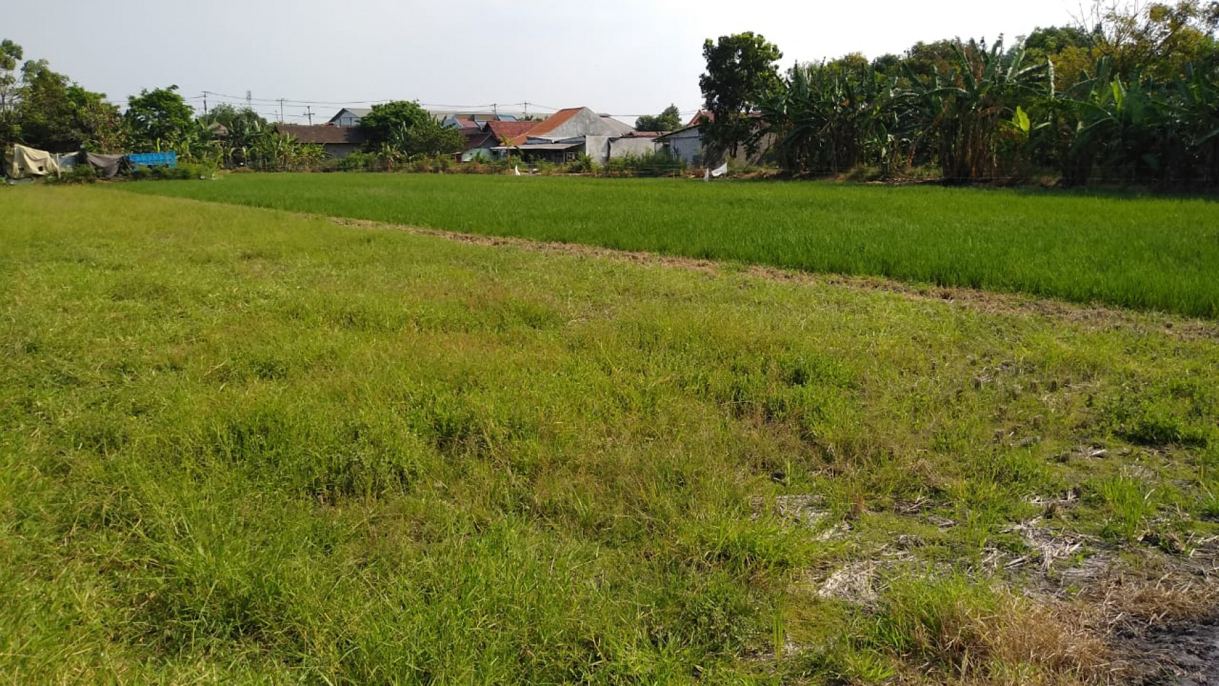 Jual Tanah Buduran-Sidoarjo