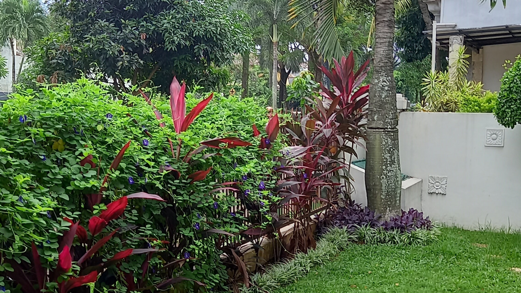 Rumah Citra Gran View Taman dan Akses Danau