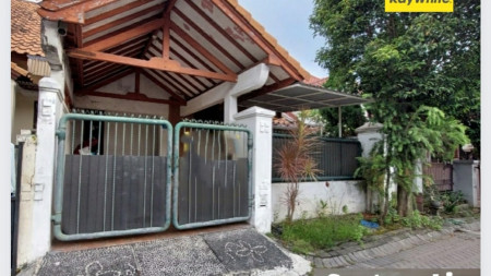 MURAH 1 Man Rumah Taman Puspa Raya Citraland - K.Tidur BESAR2 - Renov Cantik.- Siap Huni