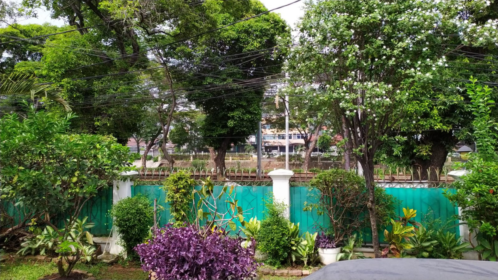 Bagus Rumah Asri 900M2 Menteng Ja