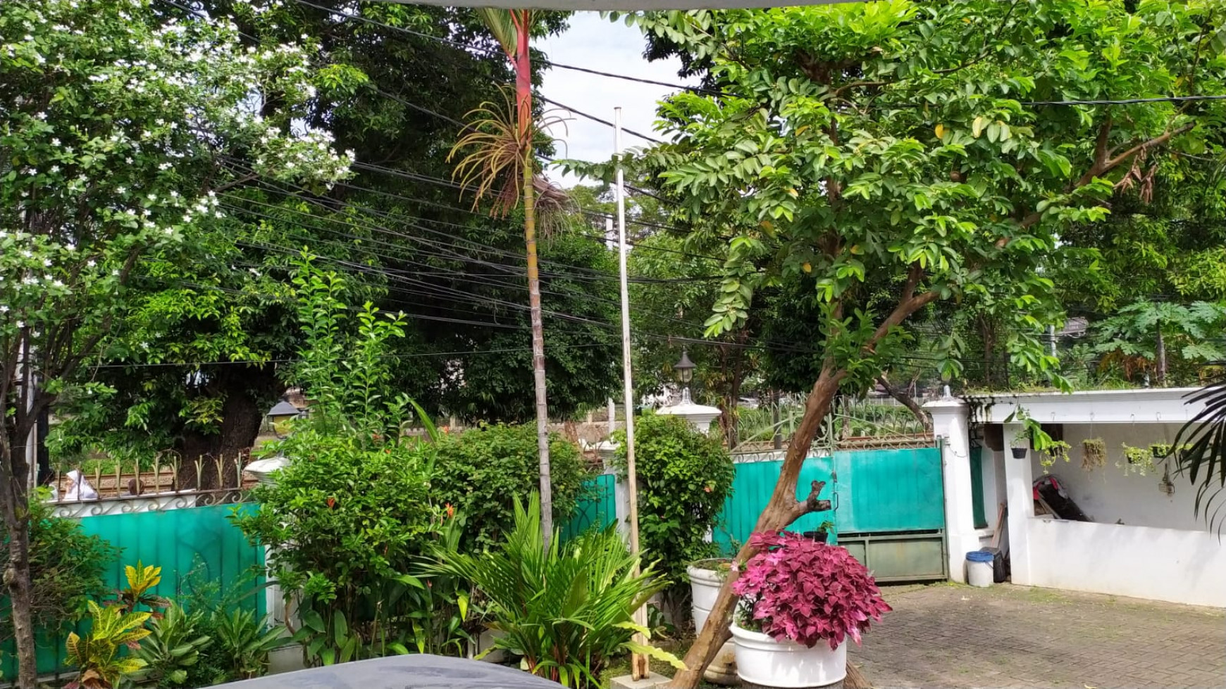 Bagus Rumah Asri 900M2 Menteng Ja