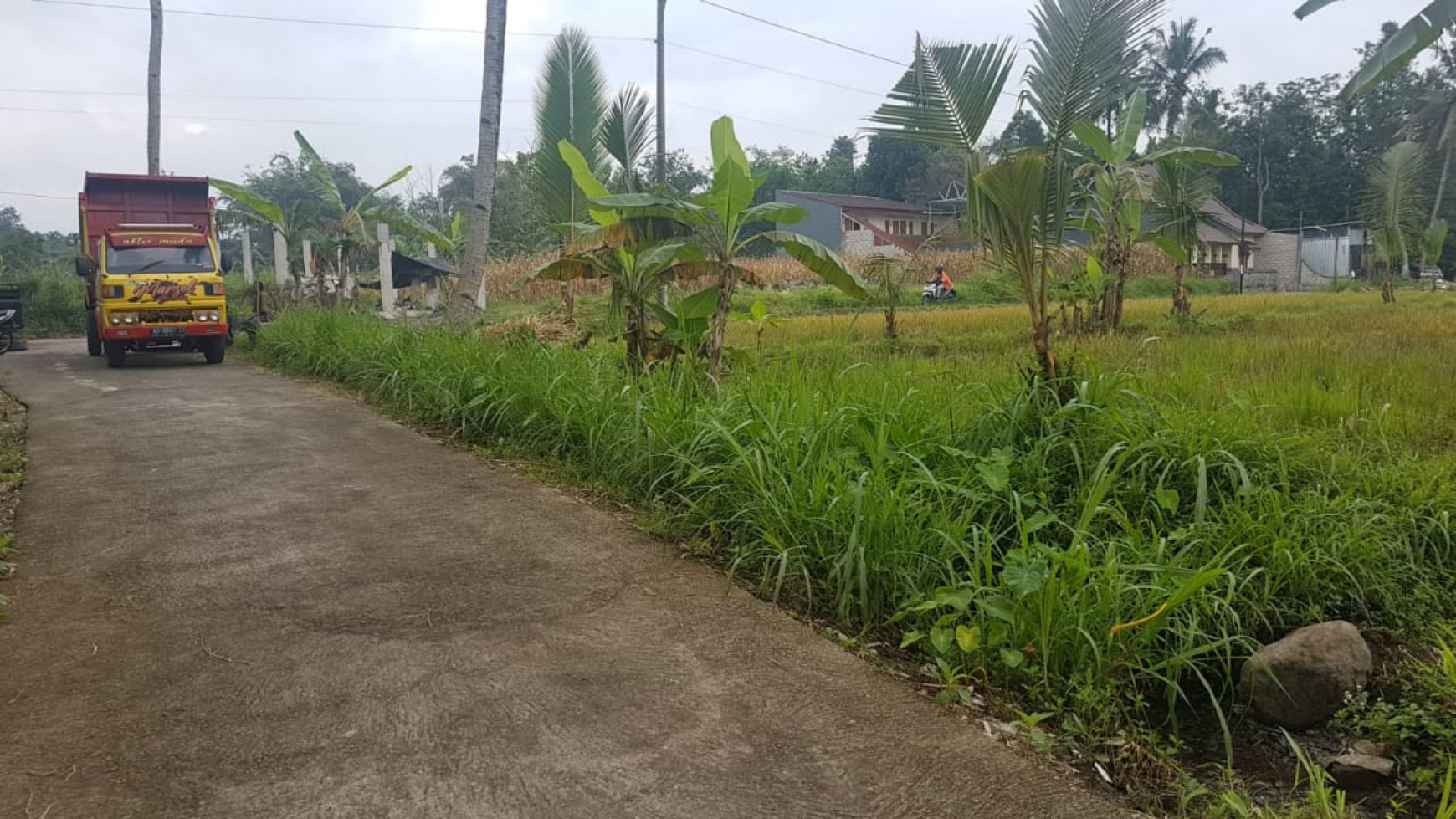 Tanah 3145 Meter Persegi Dekat Kampus UII Jl Kaliurang Km 13 Sleman