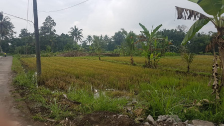 Tanah 3145 Meter Persegi Dekat Kampus UII Jl Kaliurang Km 13 Sleman