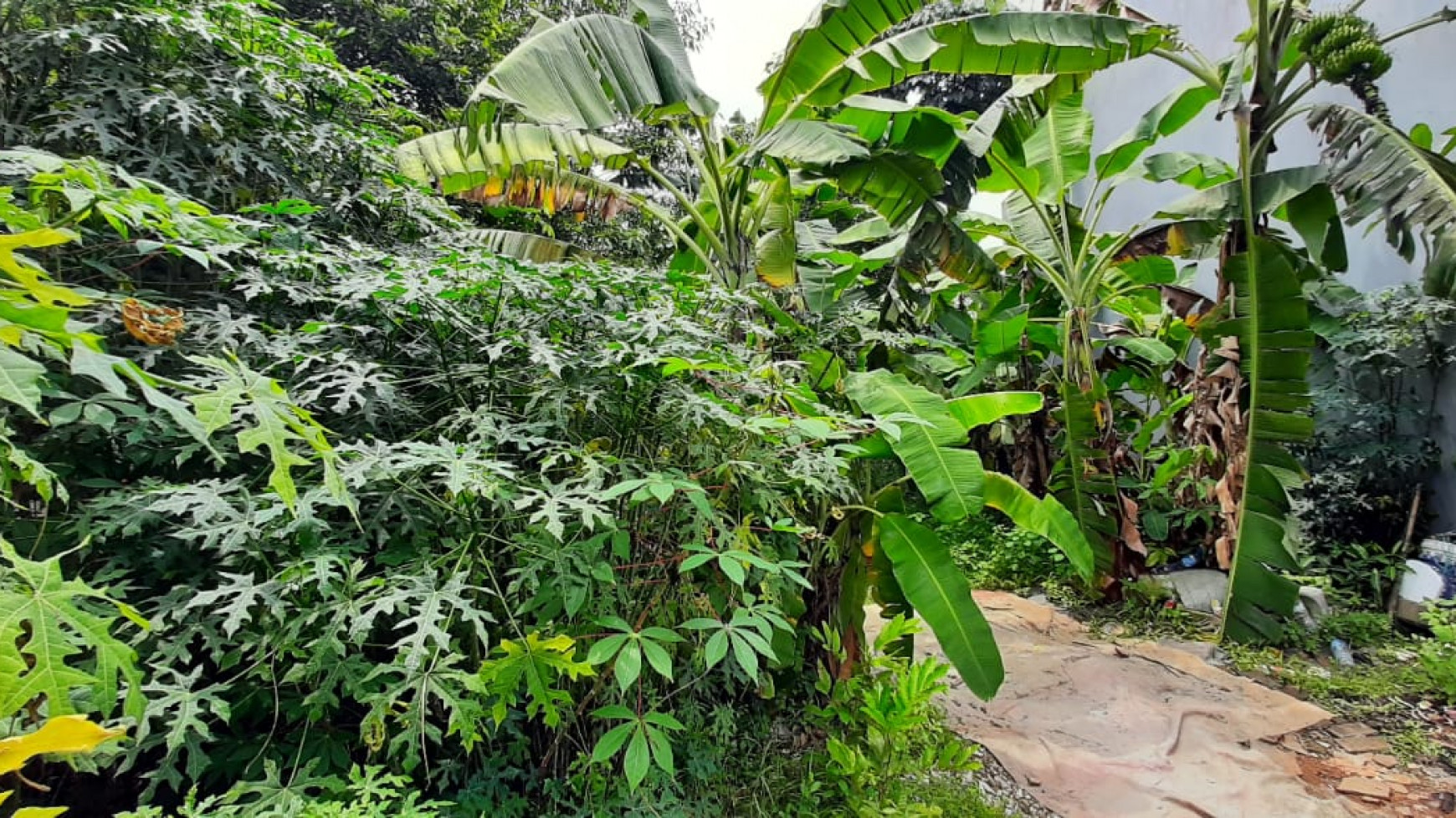 Kavling Bagus Siap Bangun Hanya 1KM Dari Pintu Toll Veteran Di Area Bintaro Permai