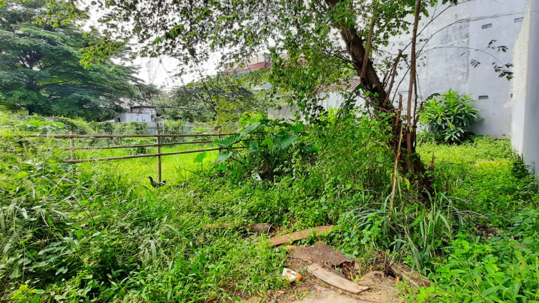 Kavling Bagus Dekat Akses Toll Nempel Bintaro Jaya Di Area Jl Unta Raya