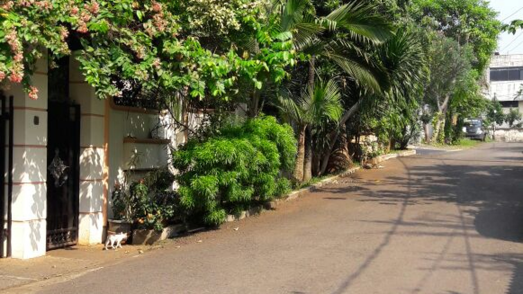 Rumah Asri di dekat Veteran Jaksel.