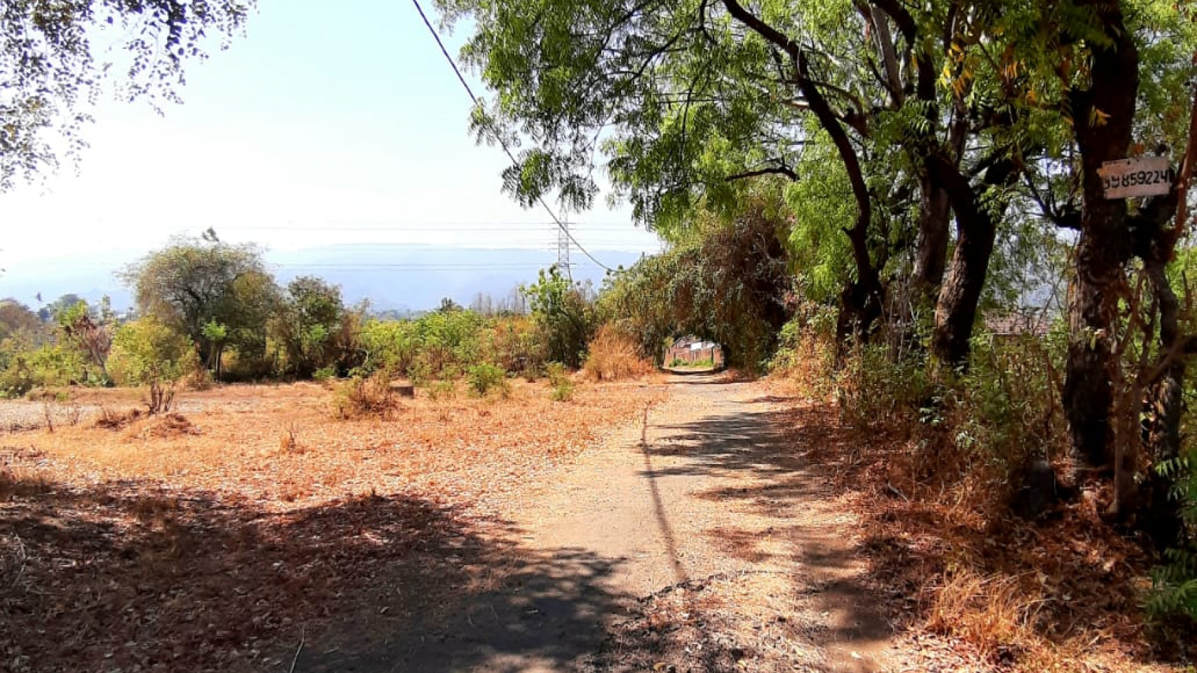 2000 M2 Land For Sale with Ocean View in Lovina Area