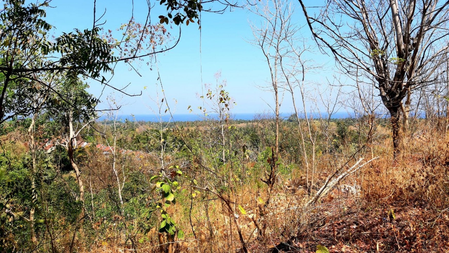 2000 M2 Land For Sale with Ocean View in Lovina Area