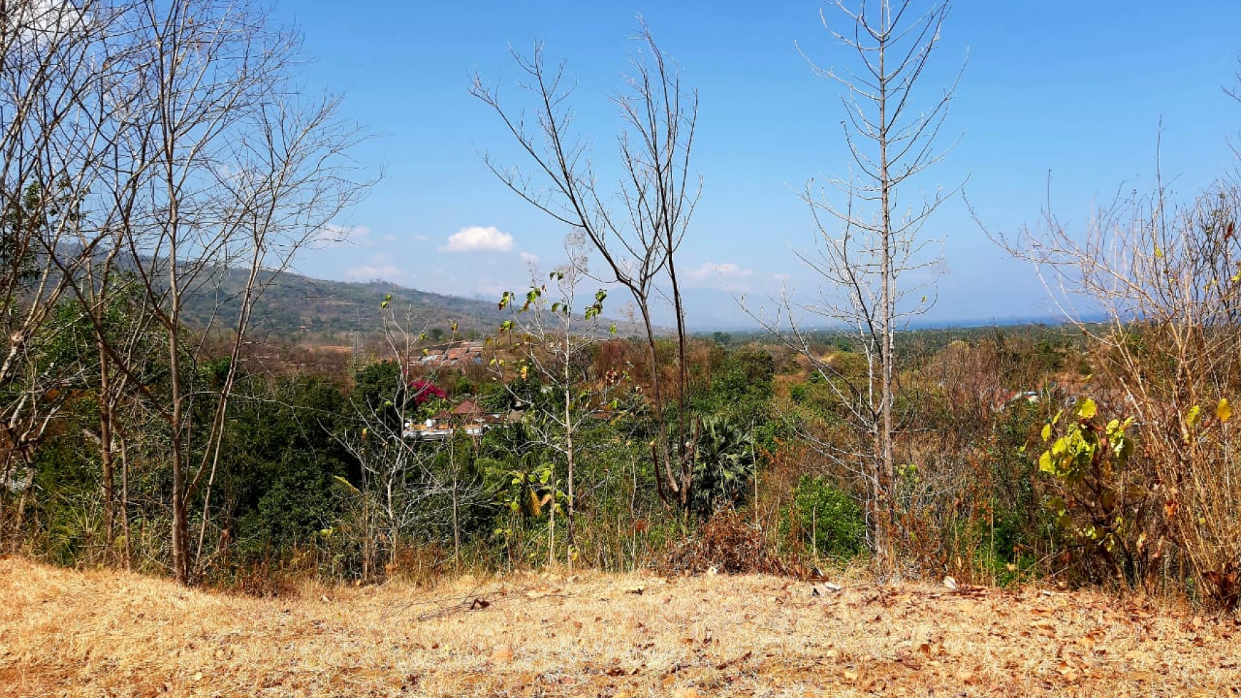 2000 M2 Land For Sale with Ocean View in Lovina Area