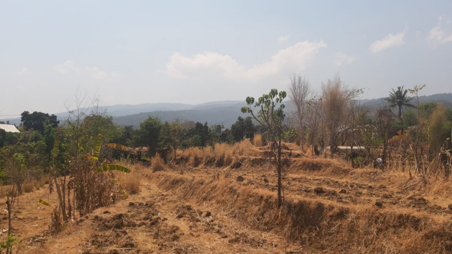 Lovina Land For Sale 5910 M2