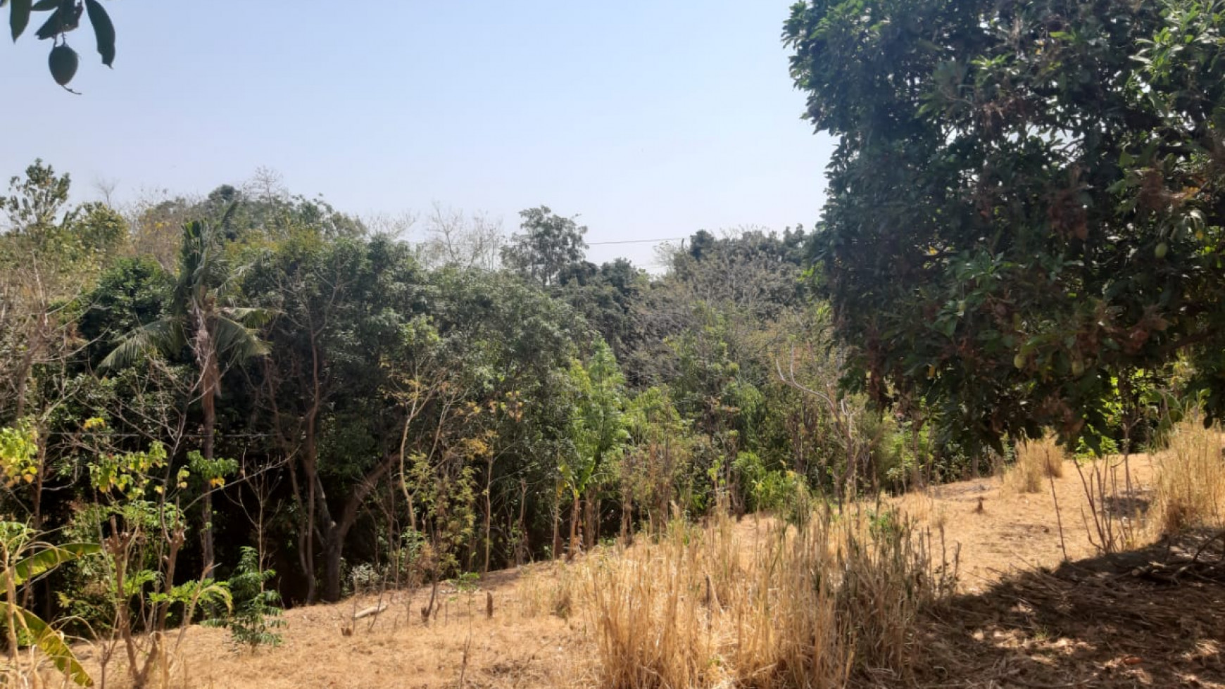 Lovina Land For Sale 5910 M2