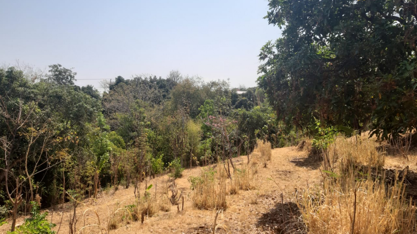 Lovina Land For Sale 5910 M2