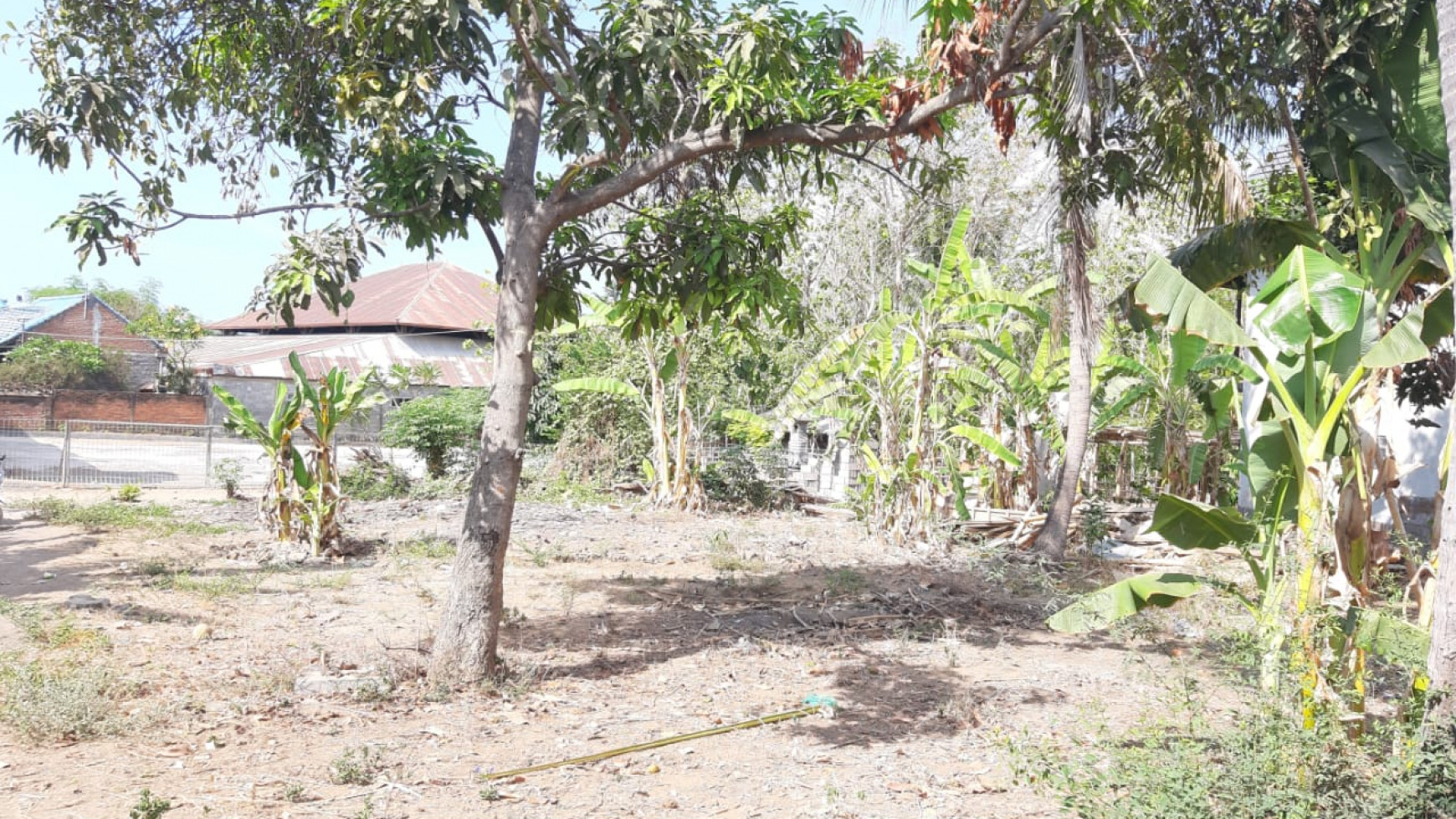 Plot of Land for Sale in Singaraja