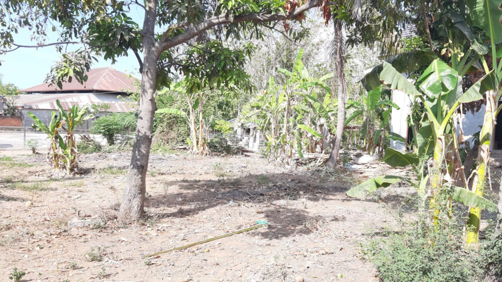 Plot of Land for Sale in Singaraja