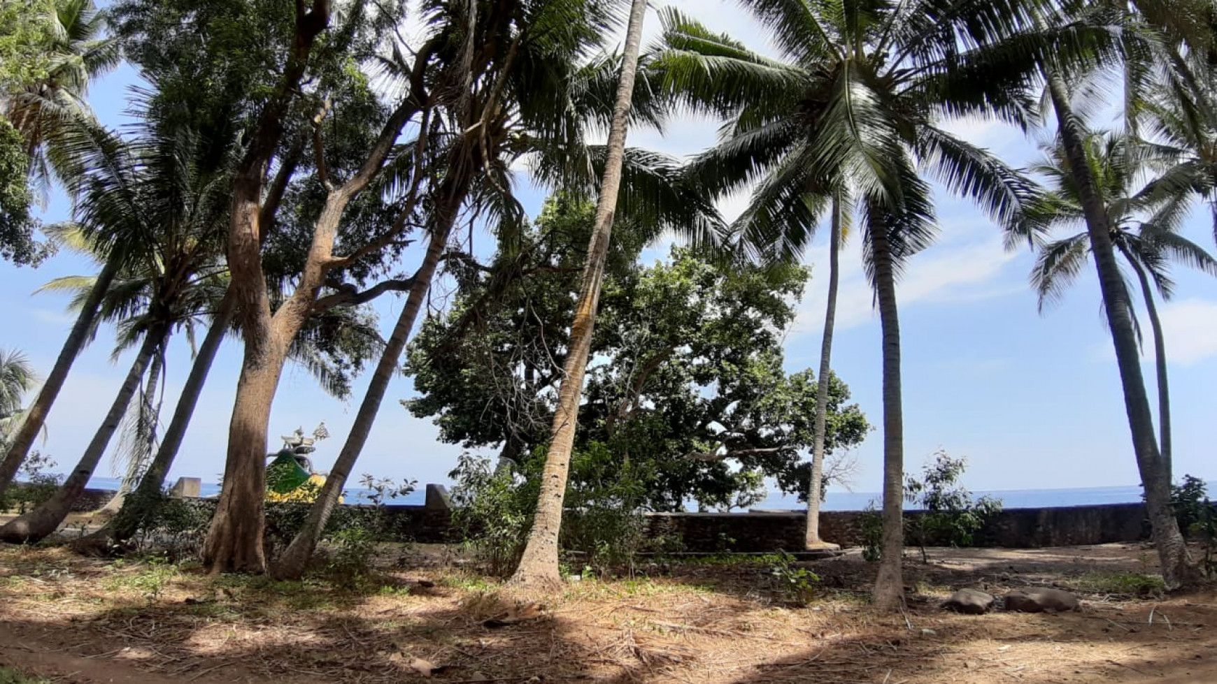 Beachfront Land For Sale in Tejakula