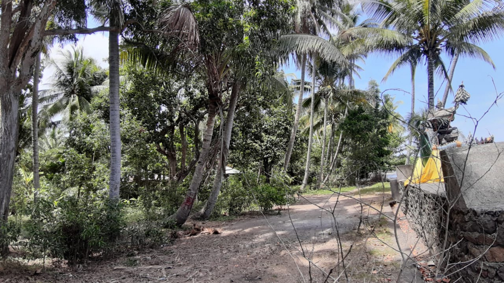 Beachfront Land For Sale in Tejakula