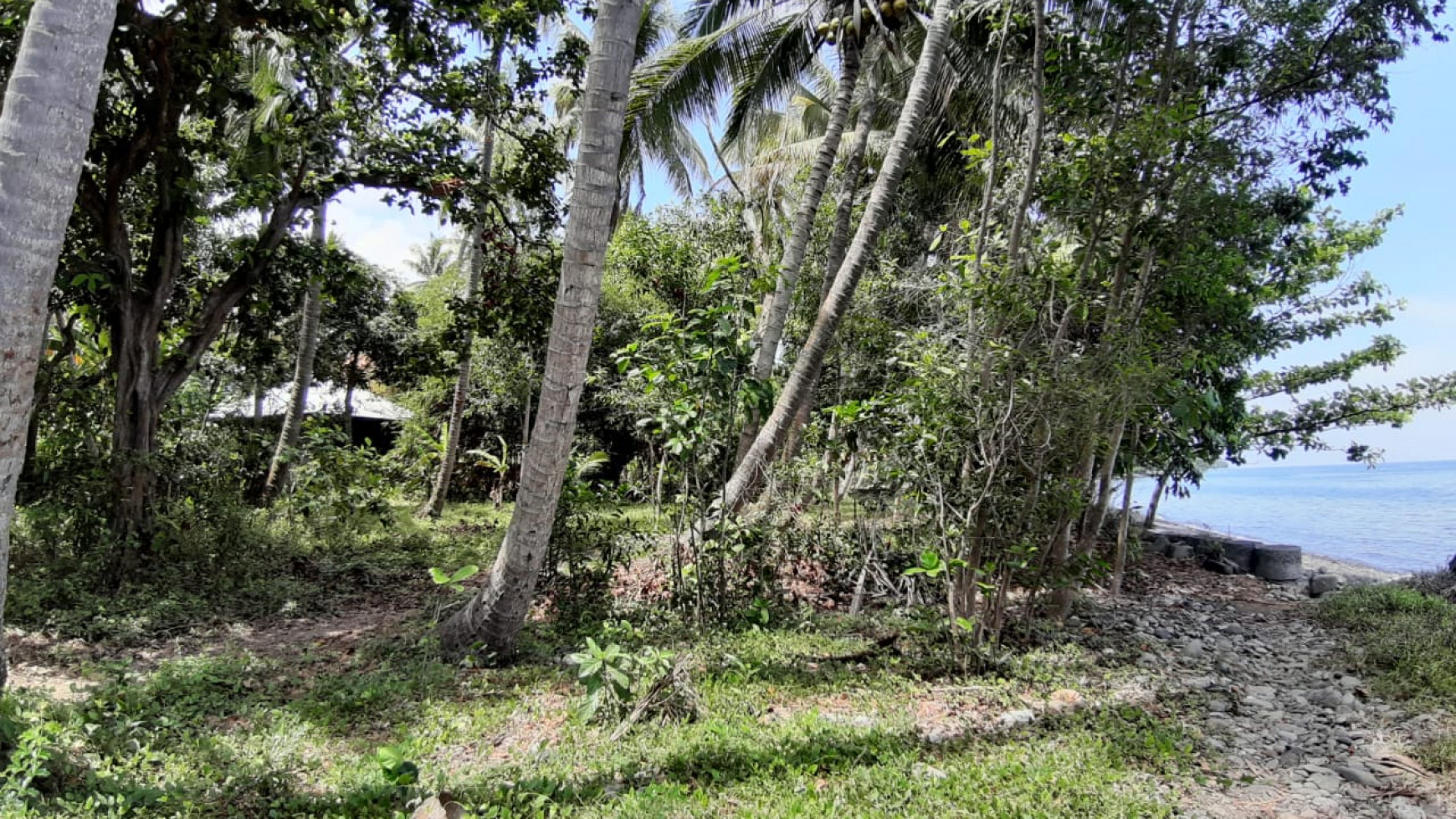 Beachfront Land For Sale in Tejakula