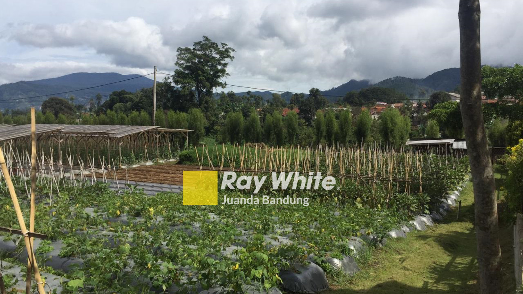 Rumah Villa dan Tanah Perkebunan dekat The Lodge Maribaya Cibodas Lembang