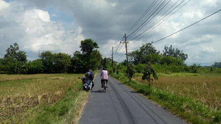 Tanah Sawah 831 Meter Persegi 