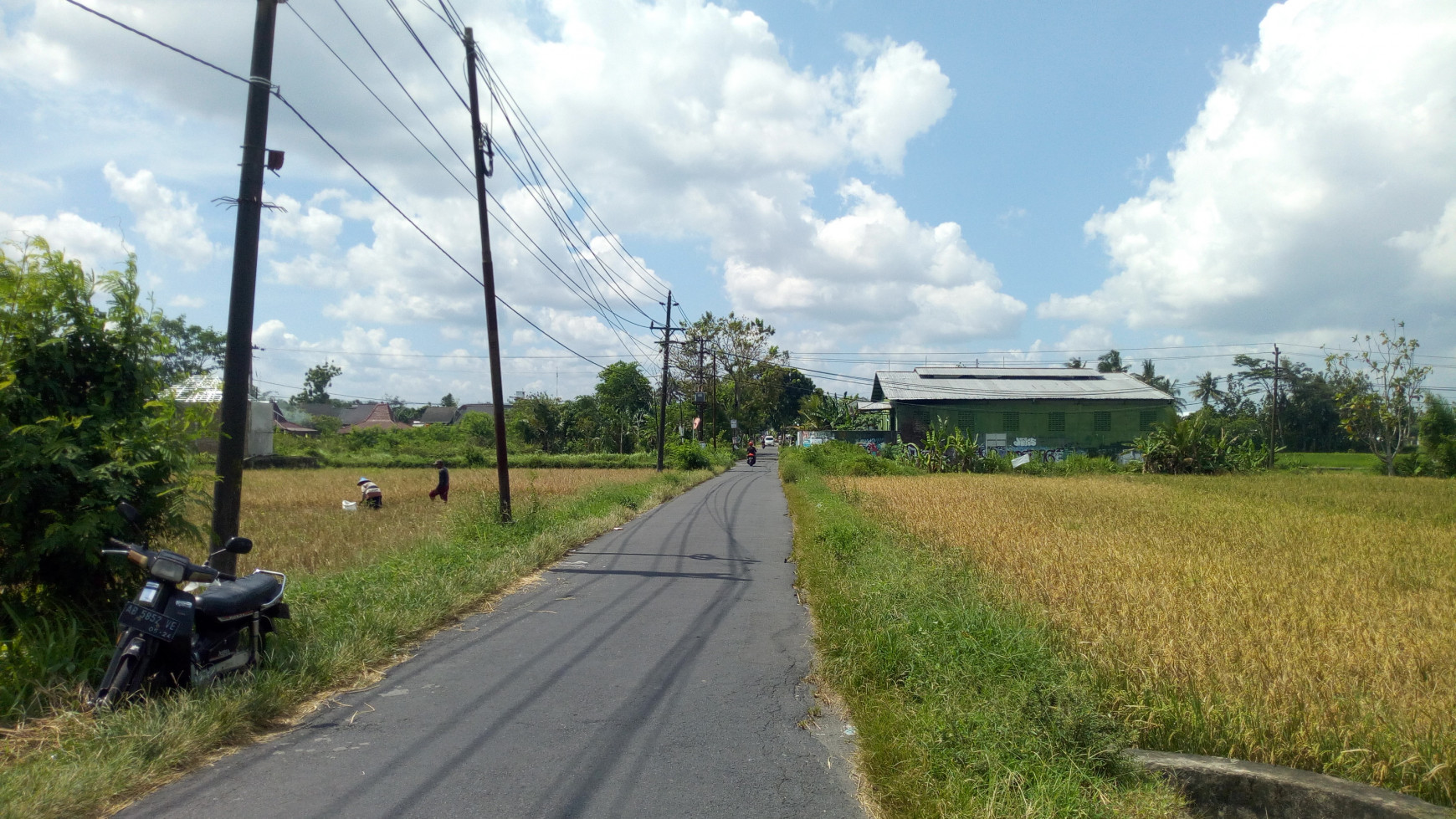 Tanah Sawah 831 Meter Persegi 