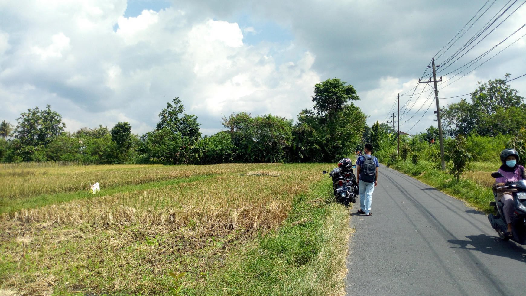 Tanah Sawah 831 Meter Persegi 