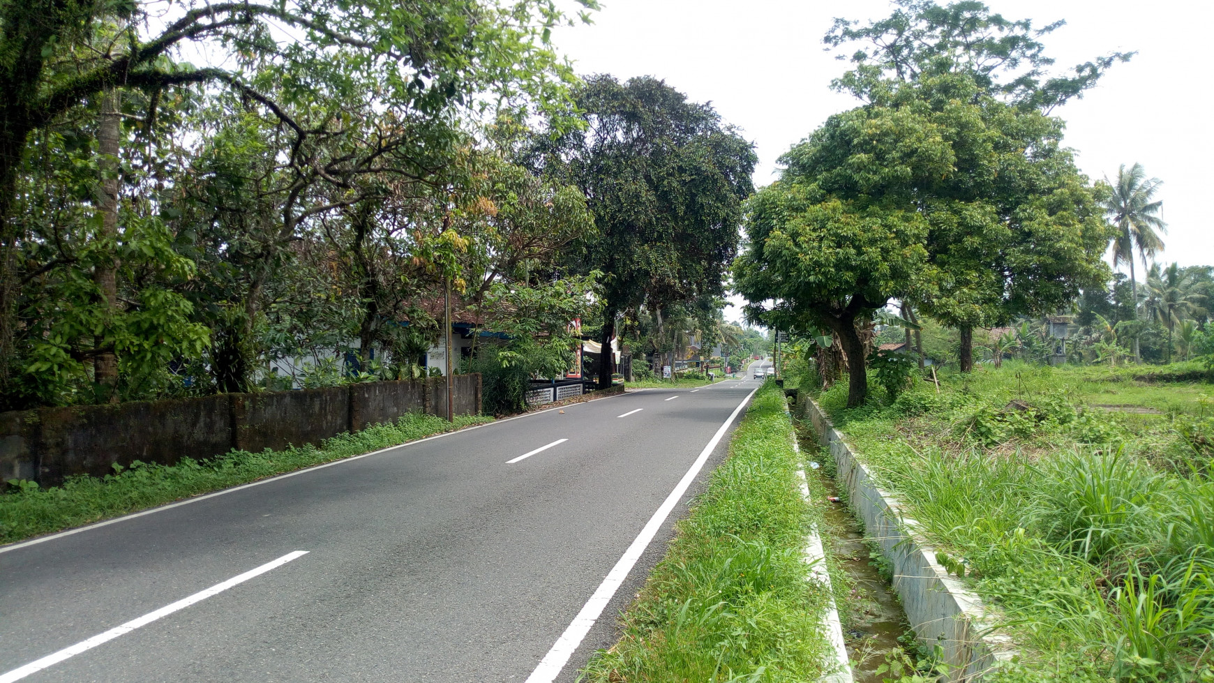 Rumah Disewakan Di Daerah Donoharjo 