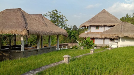 VILLA FOR SALE WITH OCEAN AND RICE FIELD VIEW