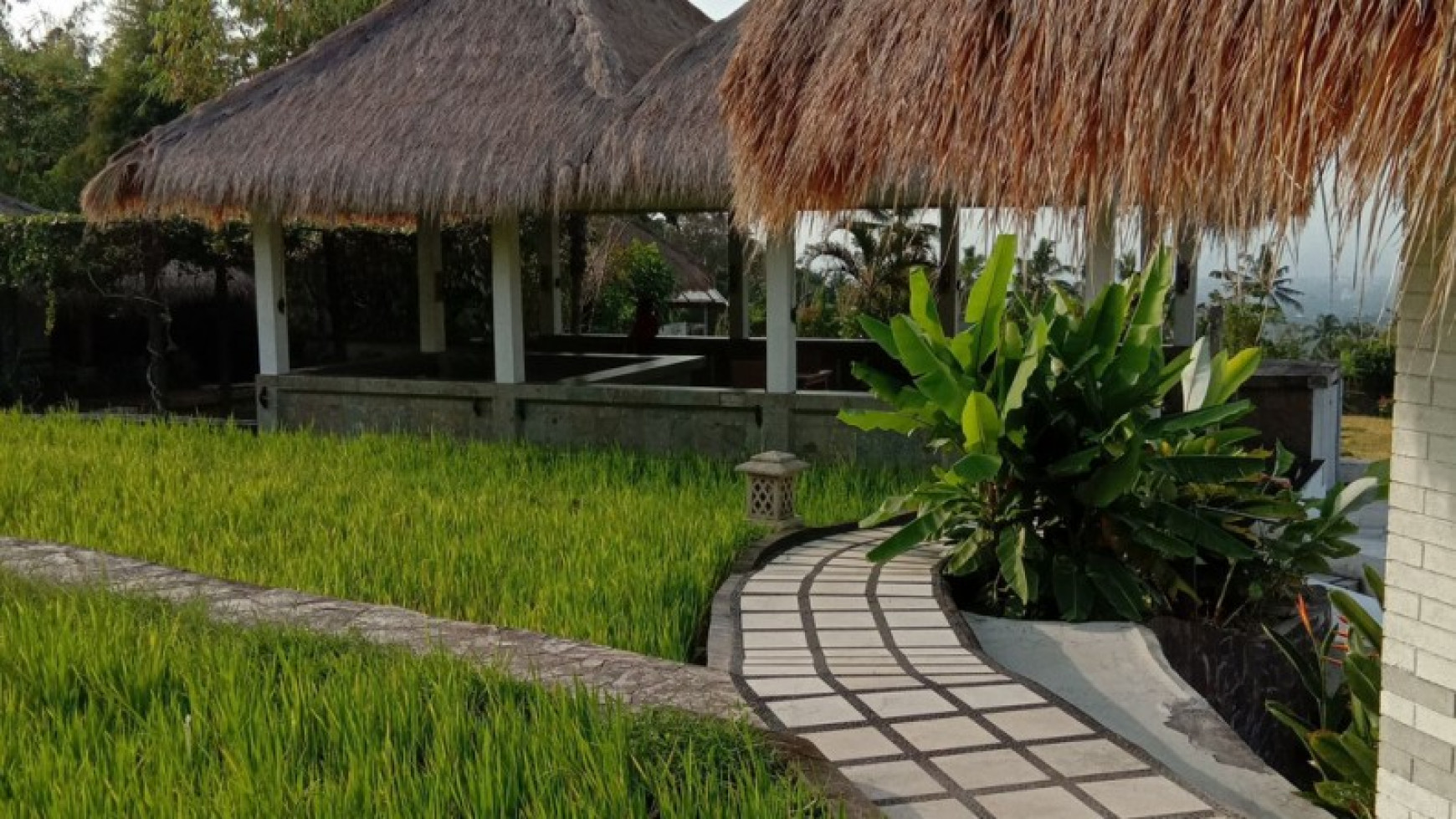 VILLA FOR SALE WITH OCEAN AND RICE FIELD VIEW