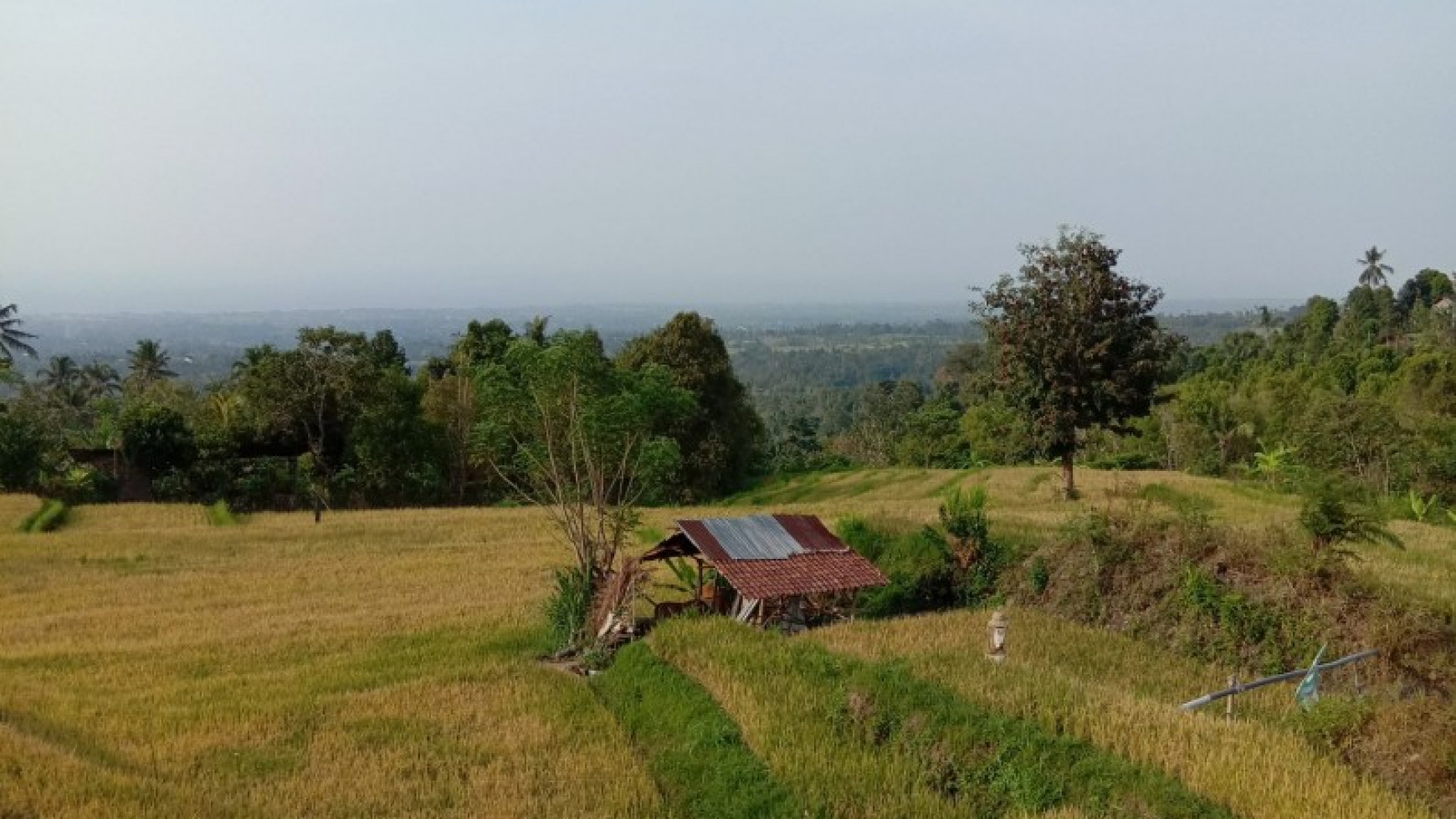 VILLA FOR SALE WITH OCEAN AND RICE FIELD VIEW