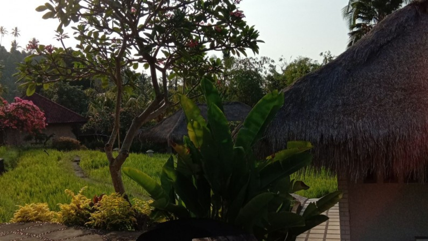 VILLA FOR SALE WITH OCEAN AND RICE FIELD VIEW