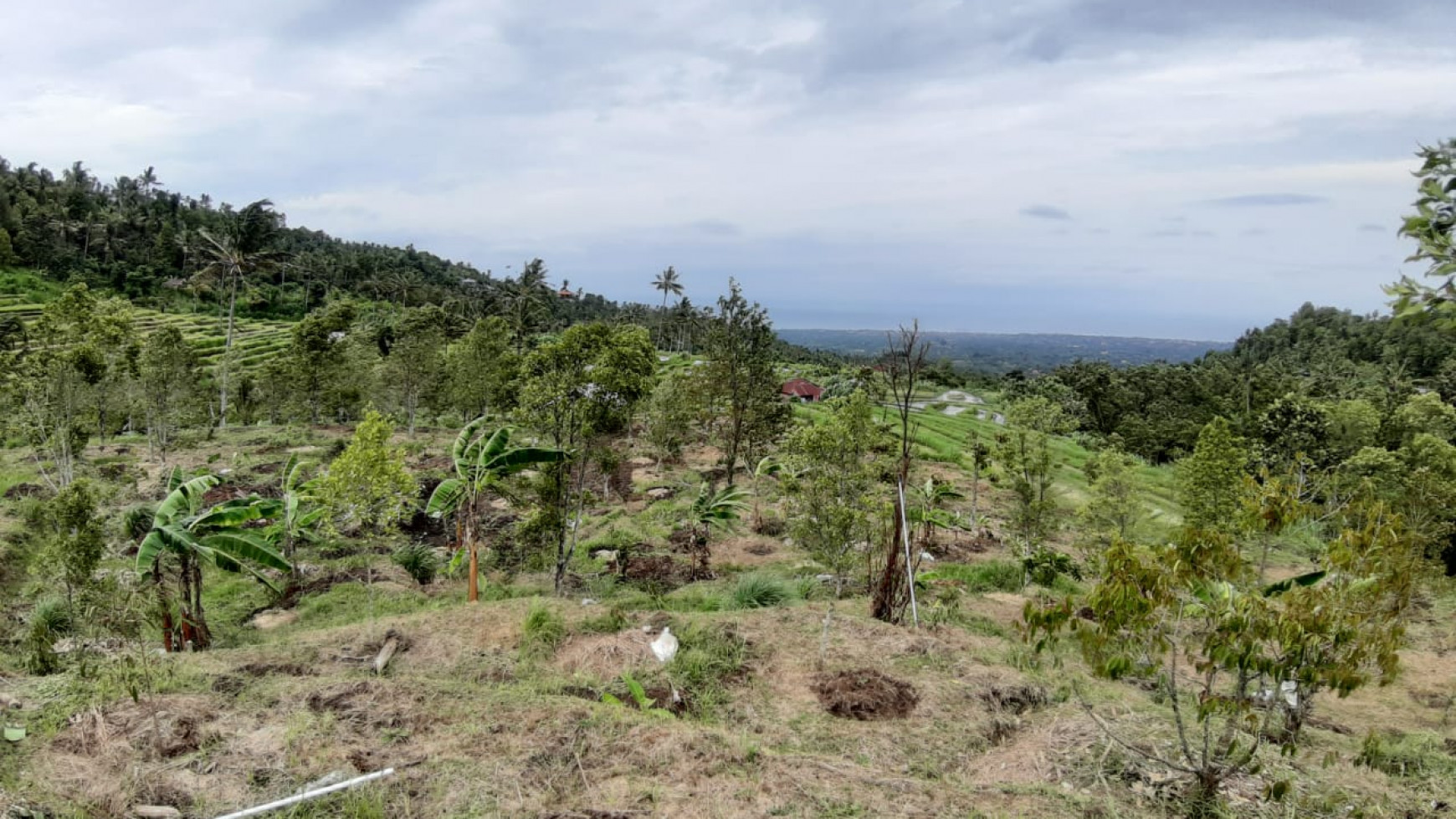 3380 Sqm Land For Sale