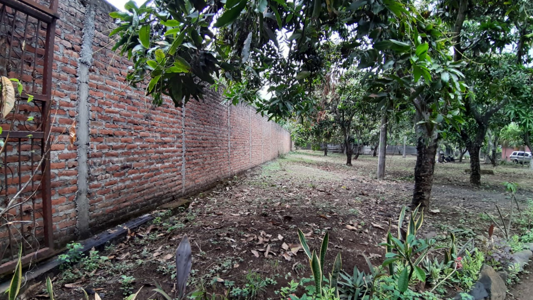 Beachfront Land at Kubutambahan