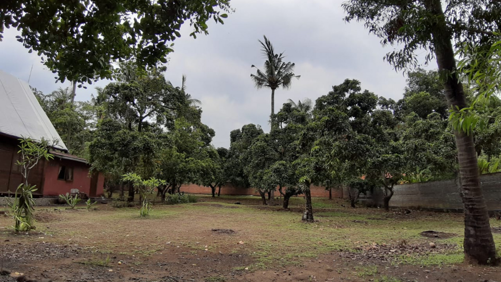 Beachfront Land at Kubutambahan