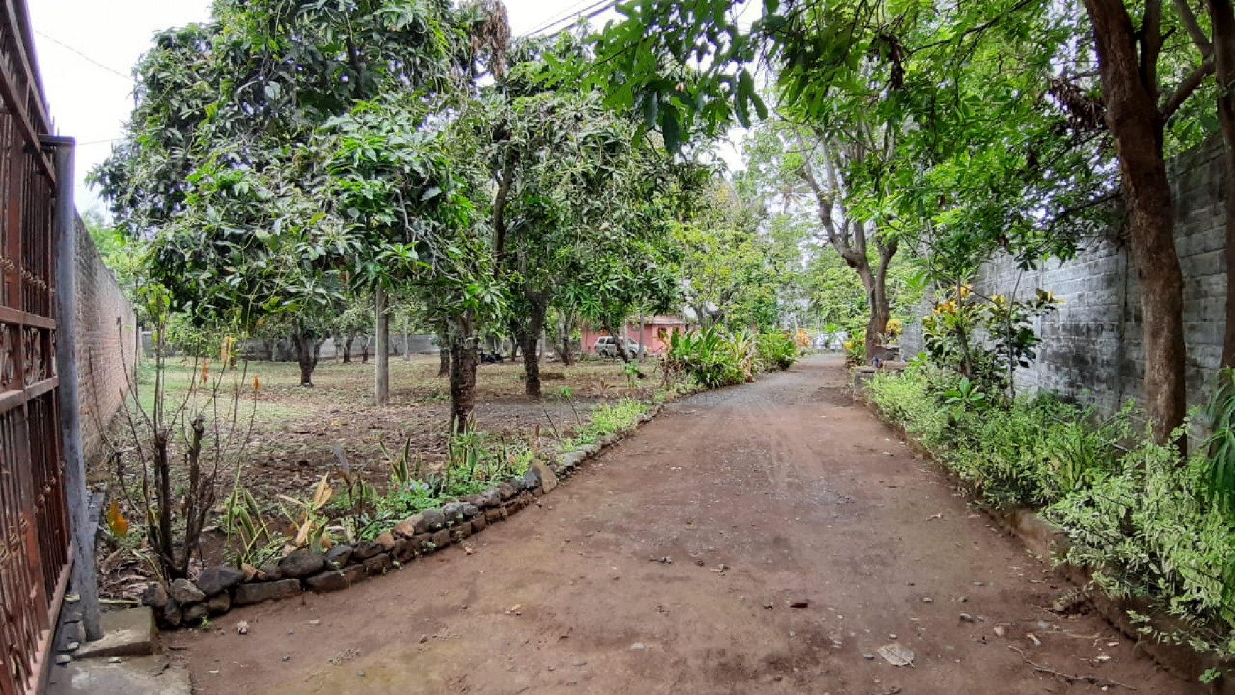 Beachfront Land at Kubutambahan