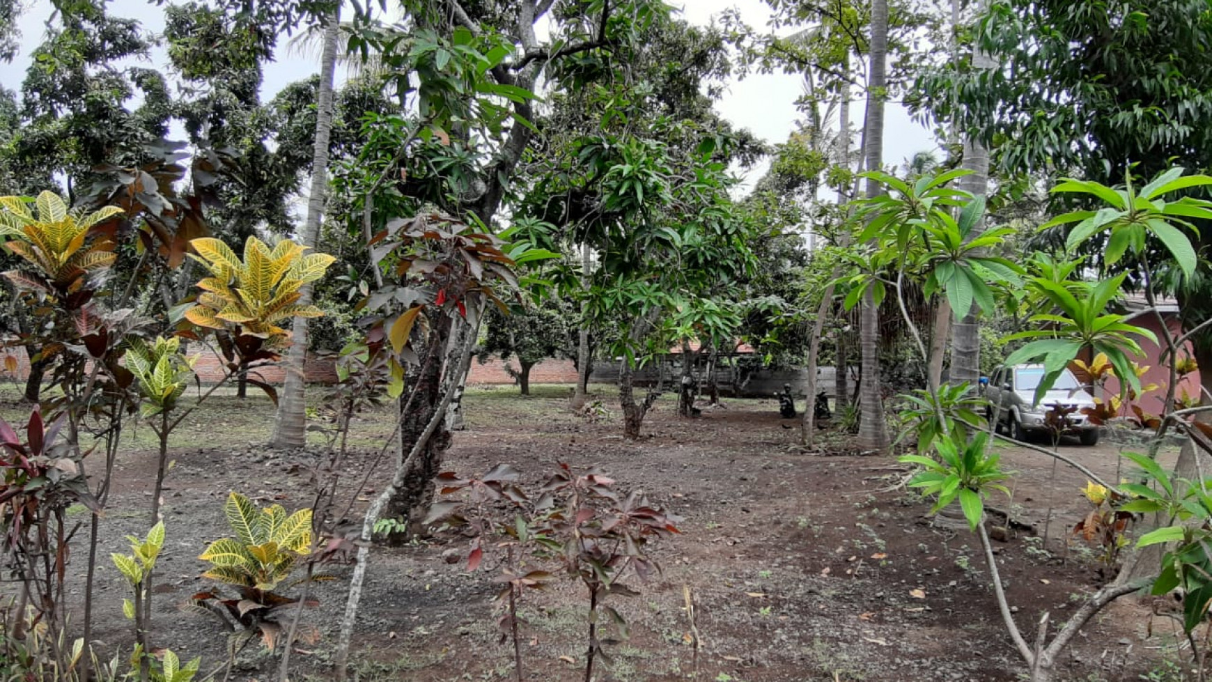 Beachfront Land at Kubutambahan