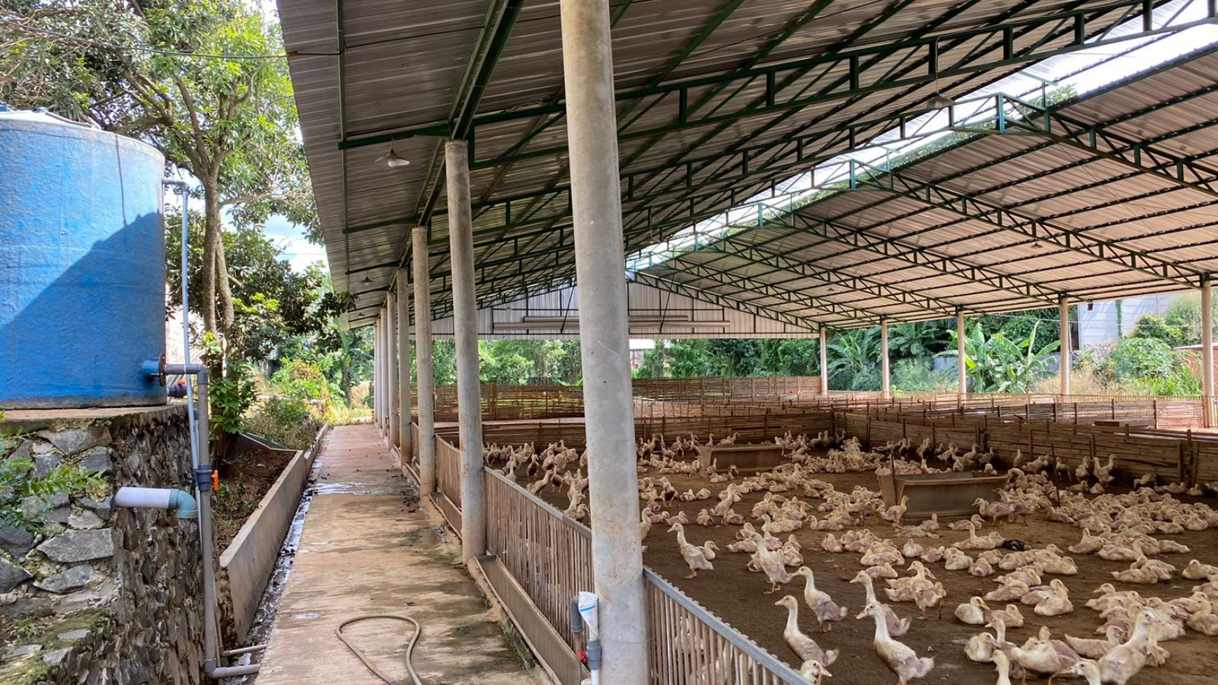 Kavling untuk Lahan Usaha Lokasi di Gunung Sindur Bogor JaBar