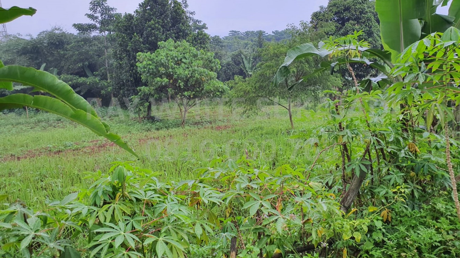 Dijual Sebidang Tanah Kosong di Batujajar, Padalarang