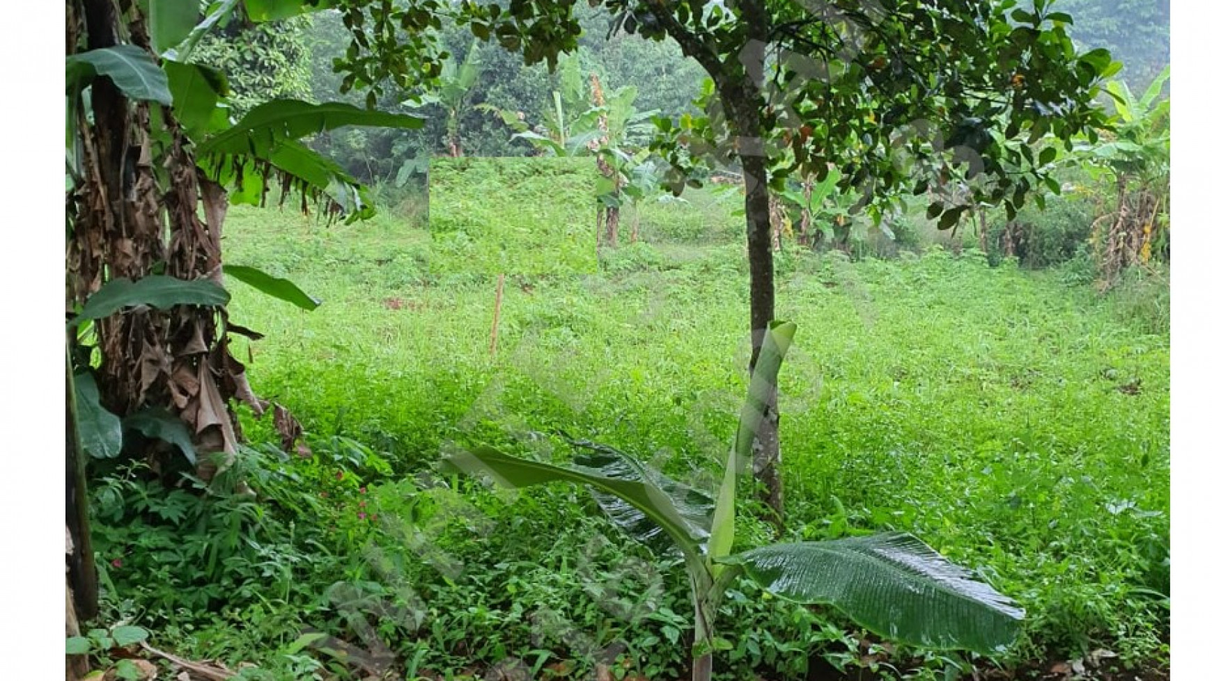 Dijual Sebidang Tanah Kosong di Batujajar, Padalarang