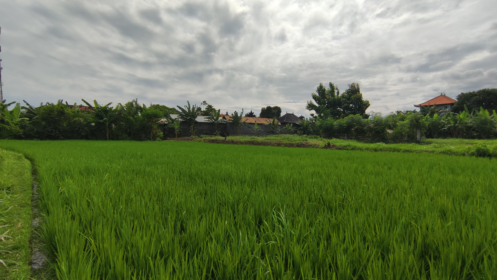 FREEHOLD LAND 2.400 SQM IN SINGARAJA