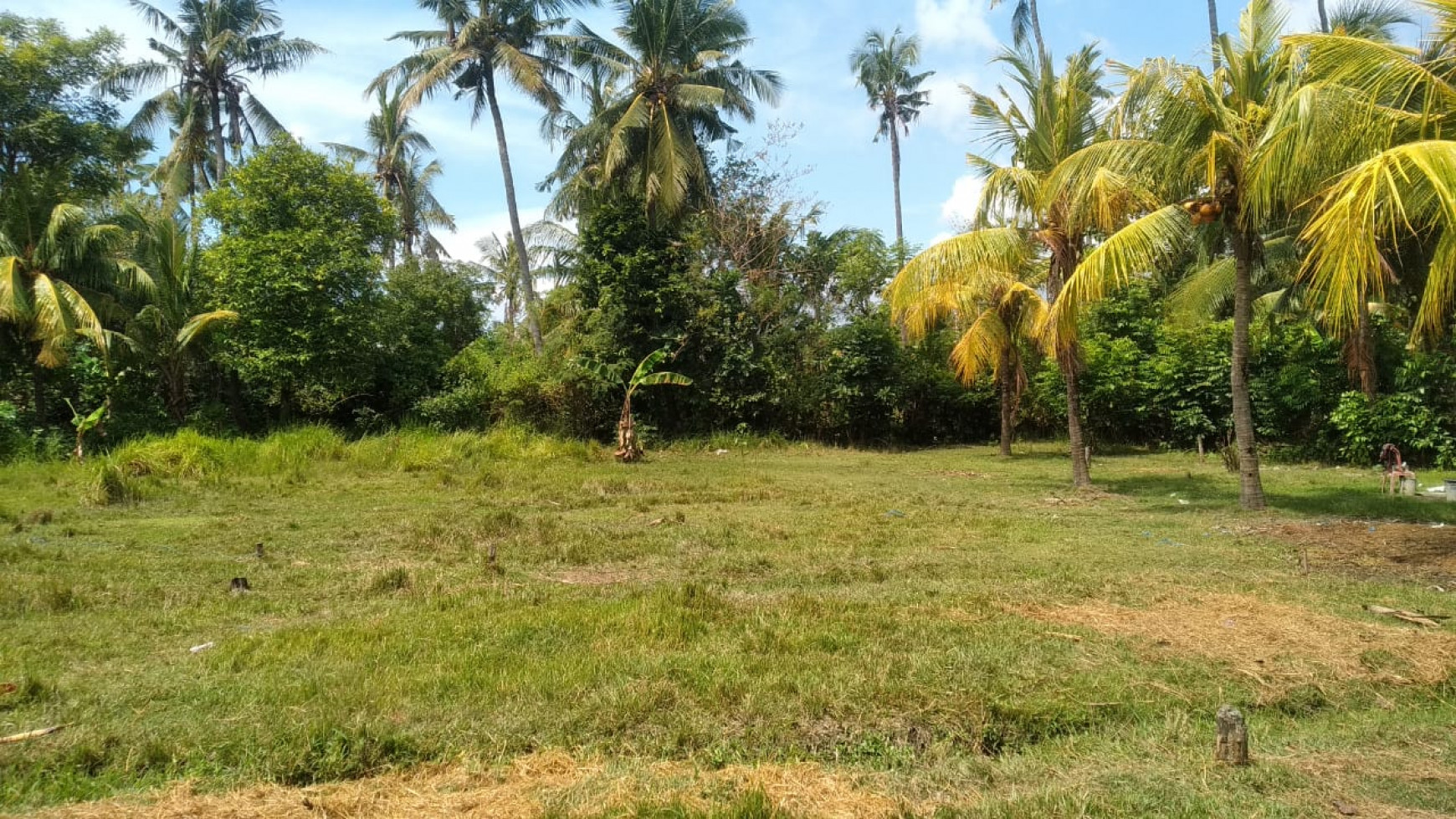 1800 M2 LAND FOR SALE AT GEROKGAK SINGARAJA