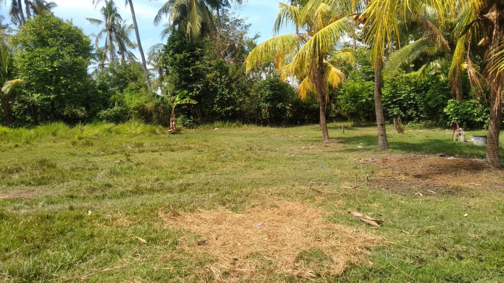 1800 M2 LAND FOR SALE AT GEROKGAK SINGARAJA