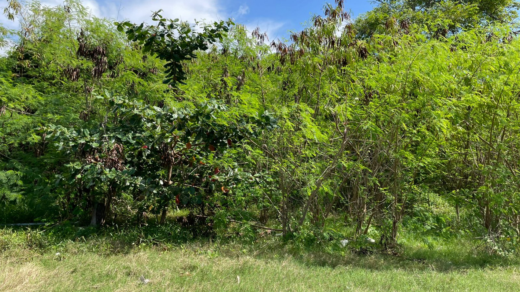 Beach Front Land for Sale Freehold Benoa Beach