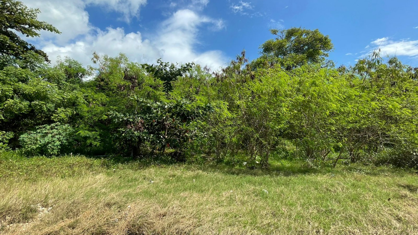 Beach Front Land for Sale Freehold Benoa Beach