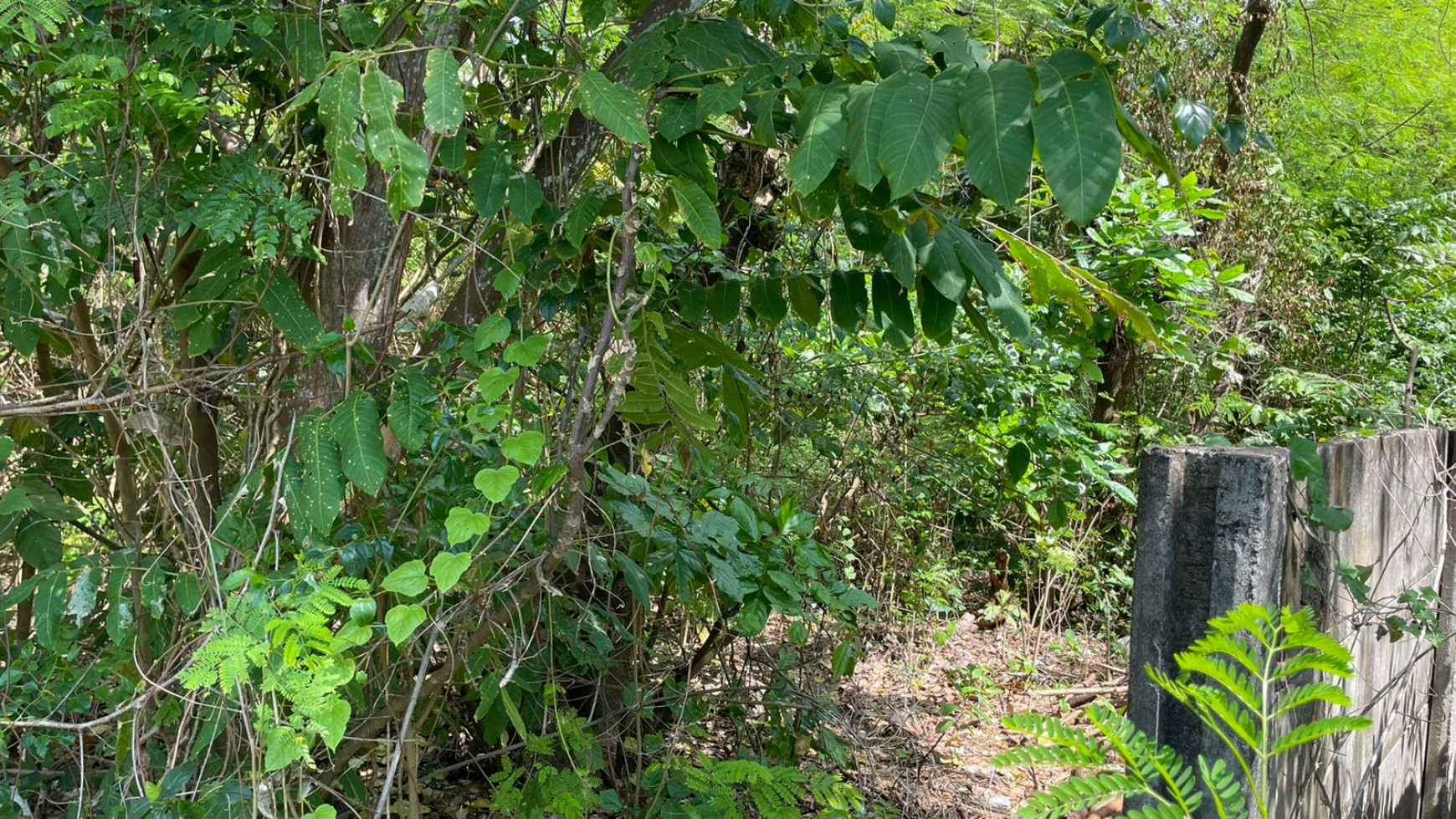 Beach Front Land for Sale Freehold Benoa Beach