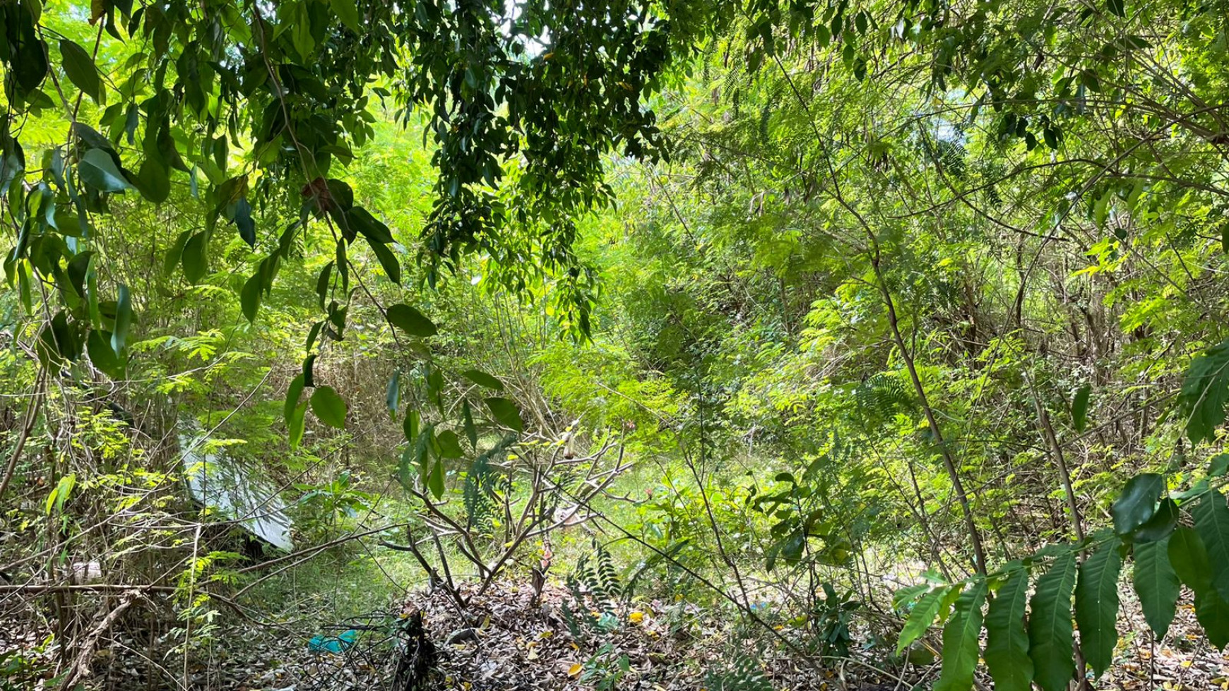 Beach Front Land for Sale Freehold Benoa Beach