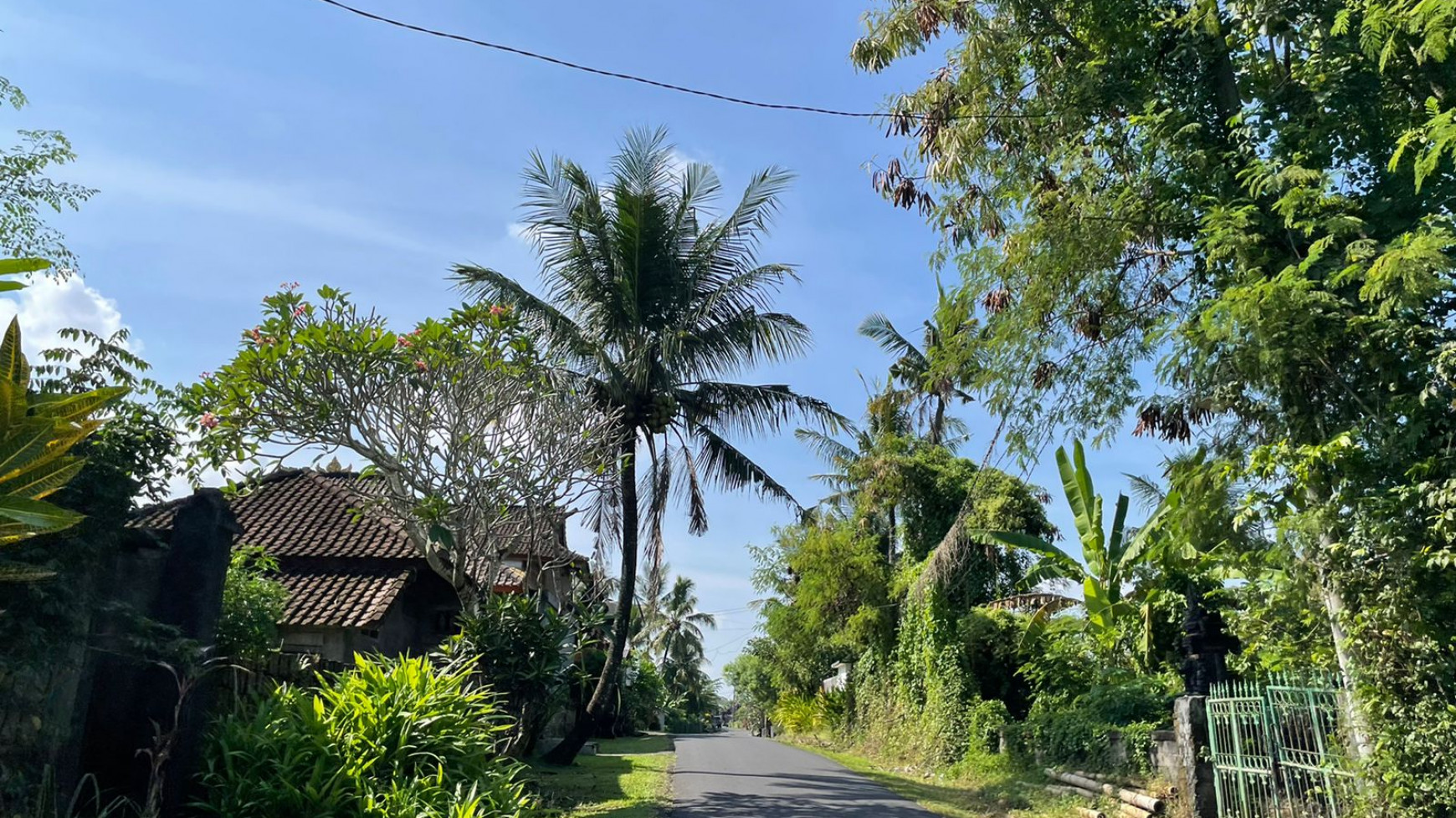 Land Freehold 1230 Sqm in Tibu Biu Tabanan