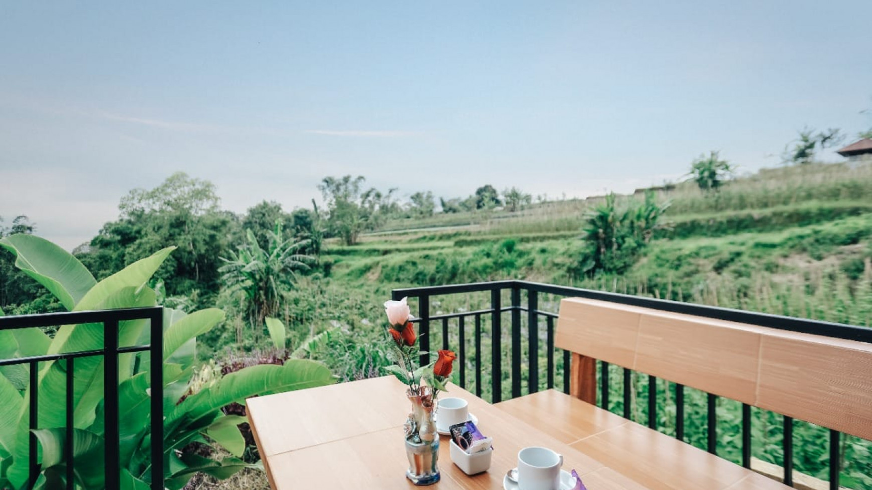 Villa Sewa Bedugul, Luas 650m2